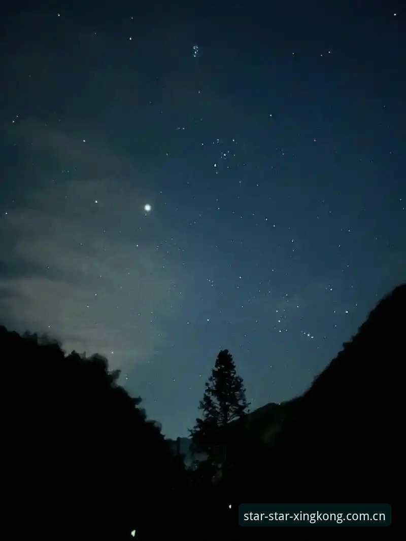 资深用户分享：如何快速找到星空官方网站安全入口的实战经验